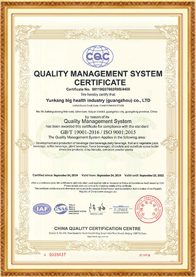 尊龙凯时人生就是博ISO9001（英文）