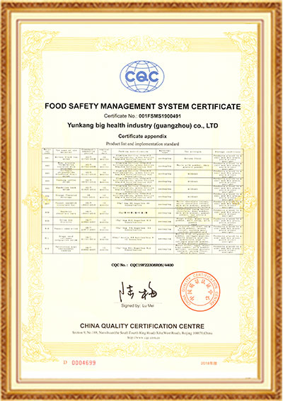 尊龙凯时人生就是博ISO22000英文版2